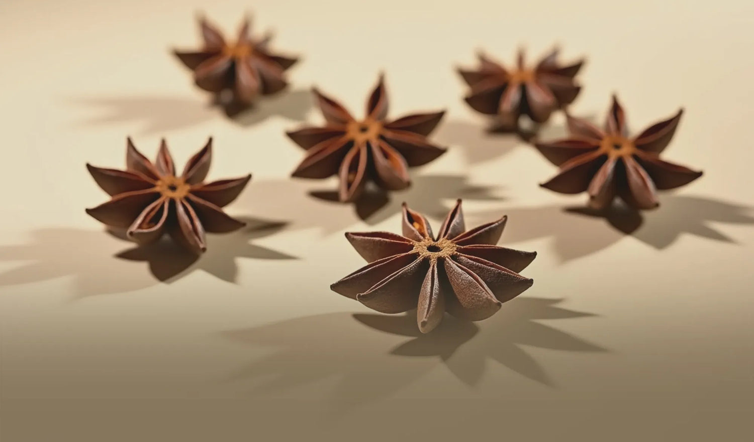 Benefits of Anise for General Health and How to Use It