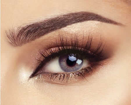 Bella Elite Gray Beige