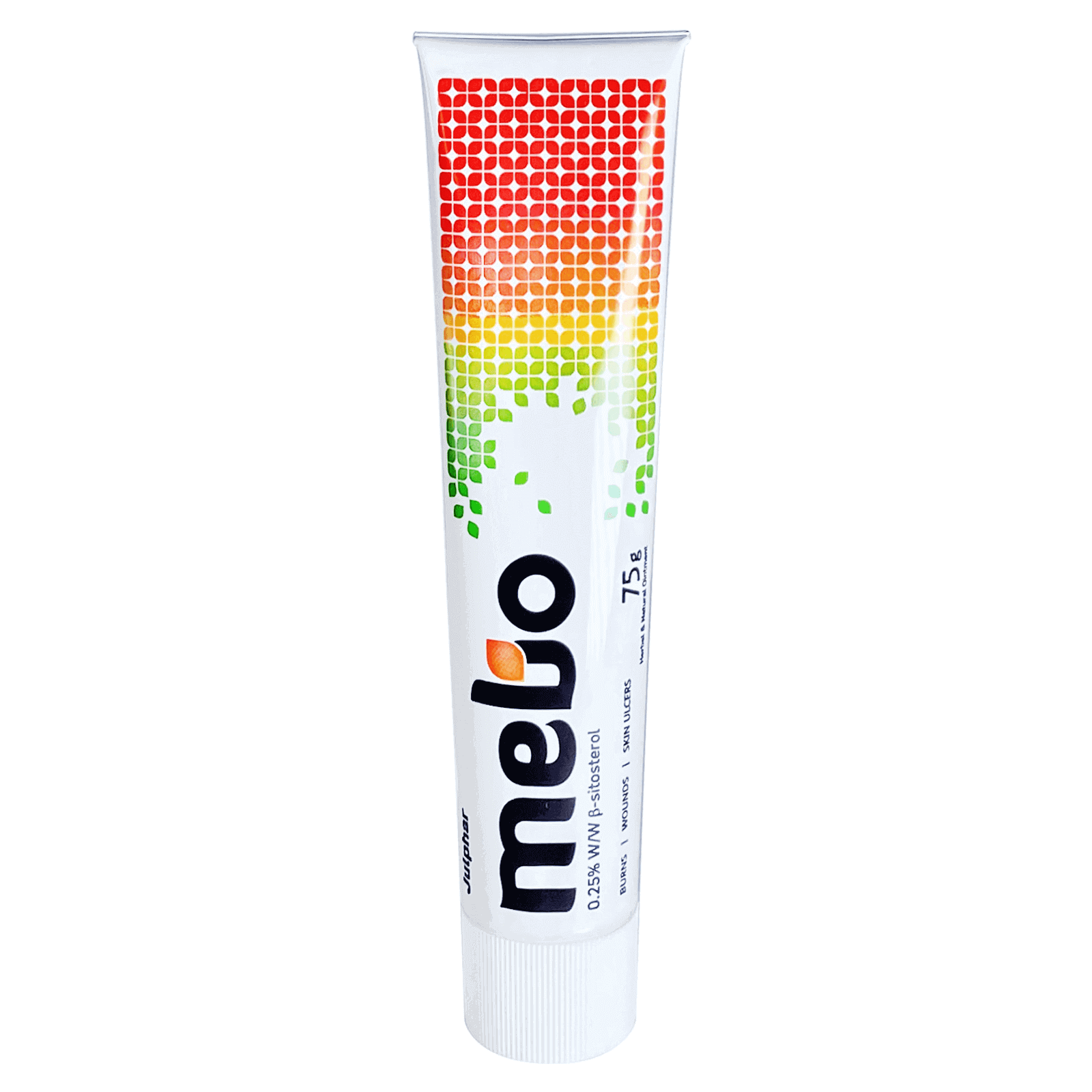 Mebo Ointment 75 g